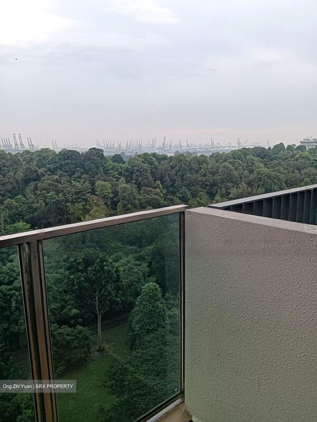 Normanton Park (D5), Apartment #455080211
